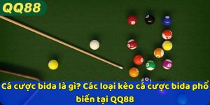 Cá cược bida là gì? Các loại kèo cá cược bida phổ biến tại QQ88