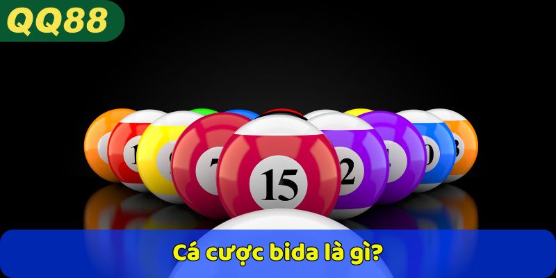 Cá cược bida là gì?
