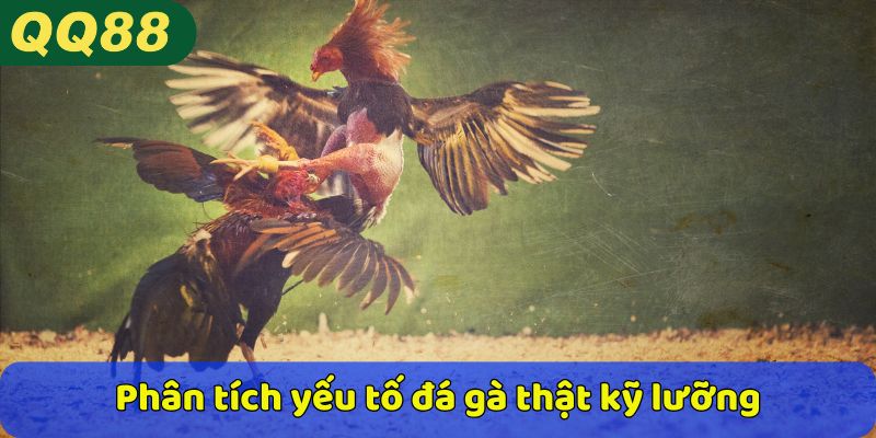 Phân tích yếu tố đá gà thật kỹ lưỡng