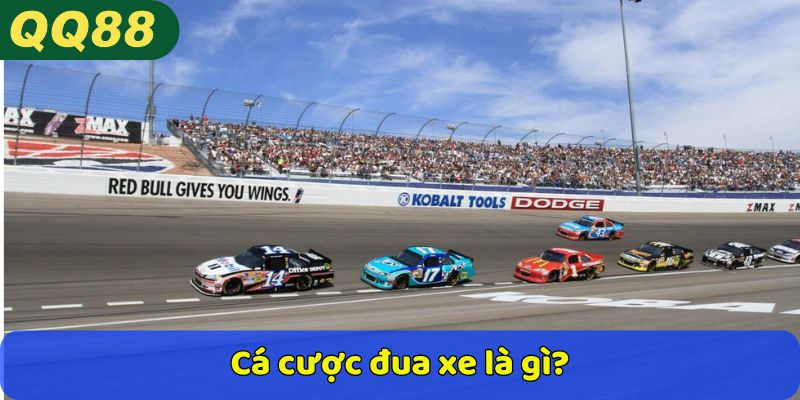 Cá cược đua xe là gì?