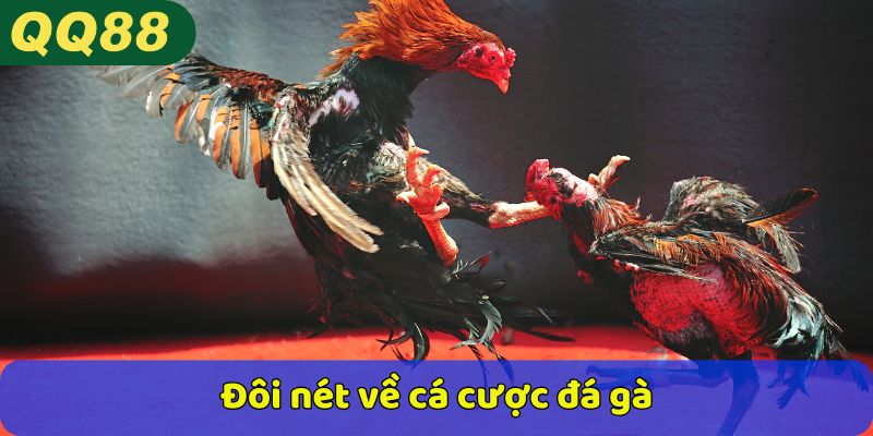 Đôi nét về cá cược đá gà